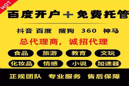 SEM托管代运营案例：打造高效营销体系